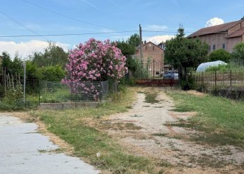 Independent house Magliano Alfieri - photo 16