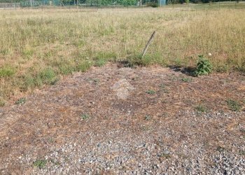 Terreno edificabile Frazione Remondato, Rocca Canavese - foto 1