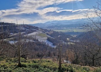 Villa Località Francolini, Castellino Tanaro - foto 8
