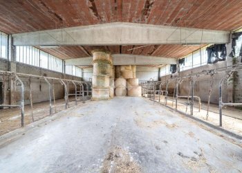 Independent house Via Don Mario Cenci, Langhirano - photo 31