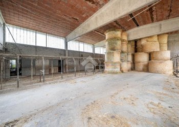 Independent house Via Don Mario Cenci, Langhirano - photo 32