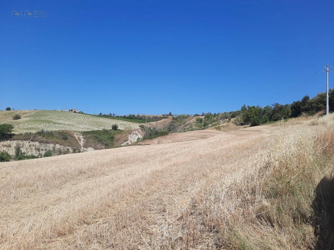 Foto 3 - Terreno agricolo VIA DELLE TAMERICI
 
SNC, Offida - foto 3