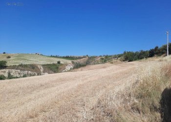 Foto 3 - Agricultural land VIA DELLE TAMERICI
SNC, Offida - photo 3