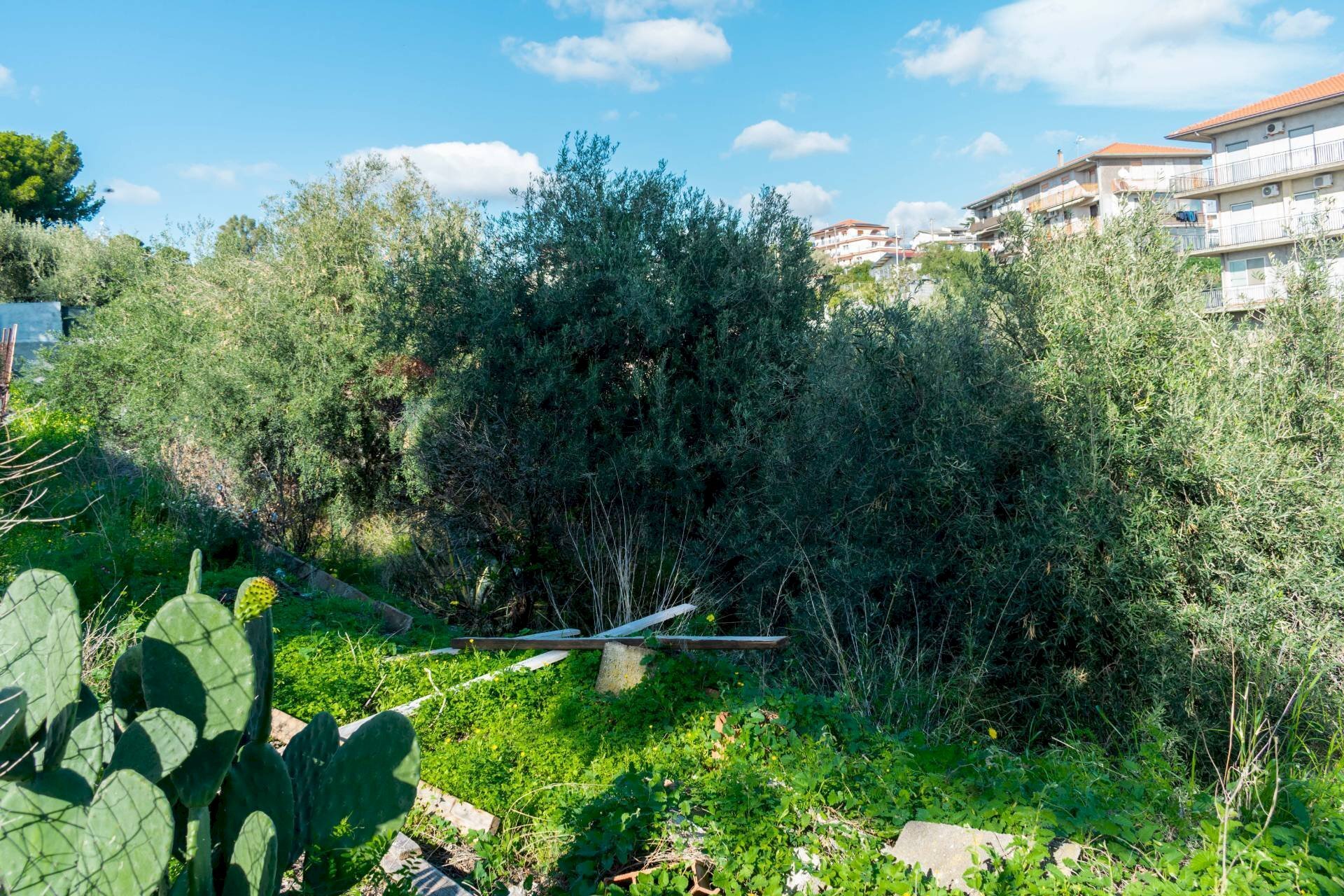 Giardino - Building land Via Della Campana
snc, Misterbianco - photo 2