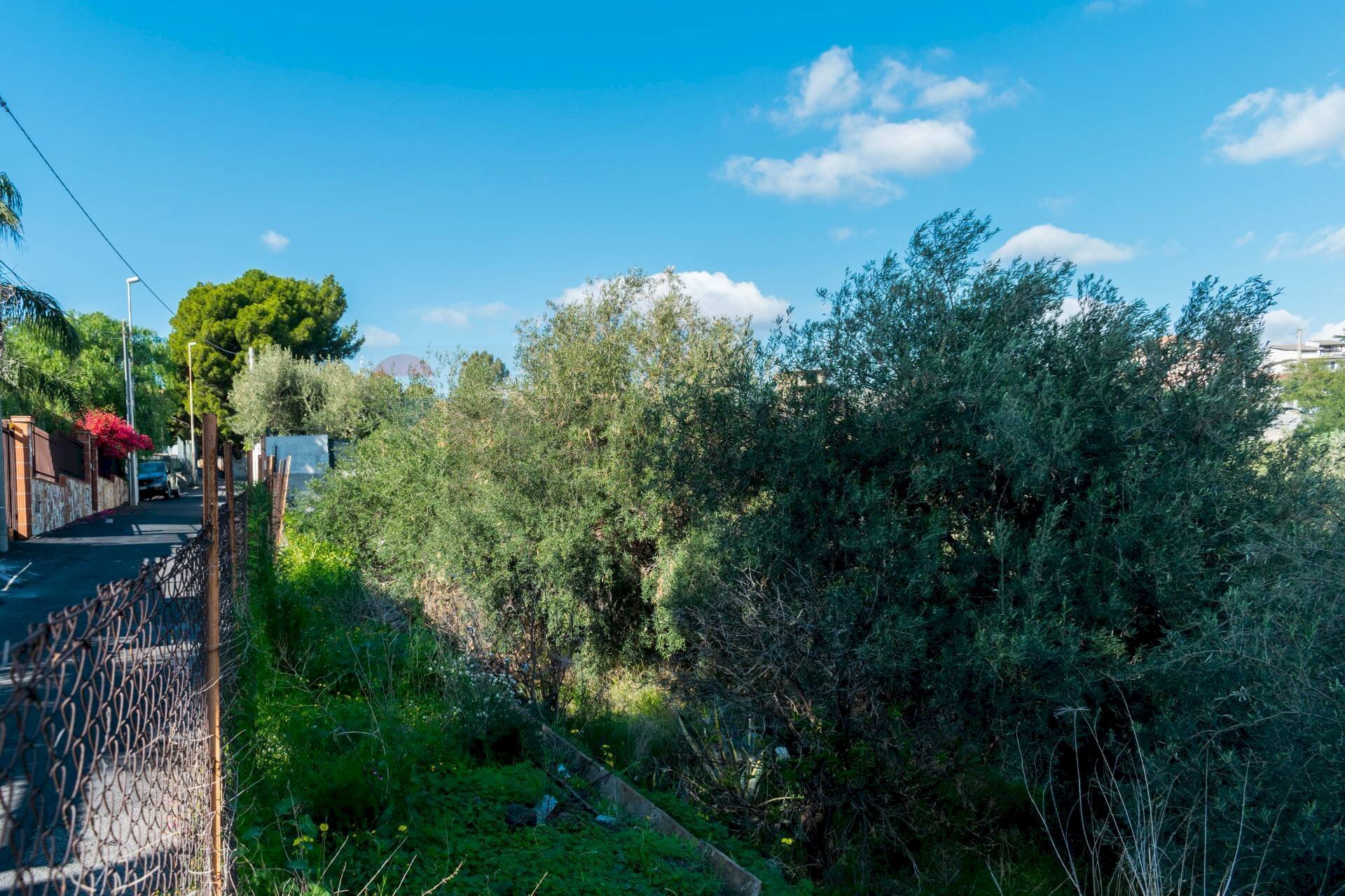 Giardino - Building land Via Della Campana
snc, Misterbianco - photo 3