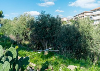Giardino - Building land Via Della Campana
 
snc, Misterbianco - photo 2