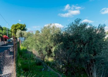 Giardino - Building land Via Della Campana
 
snc, Misterbianco - photo 3
