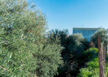 Non correlato - Building land Via Della Campana
 
snc, Misterbianco - photo 6