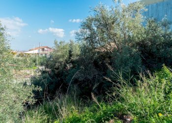 Giardino - Building land Via Della Campana
 
snc, Misterbianco - photo 9