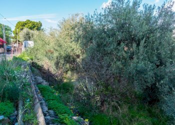 Giardino - Building land Via Della Campana
 
snc, Misterbianco - photo 10