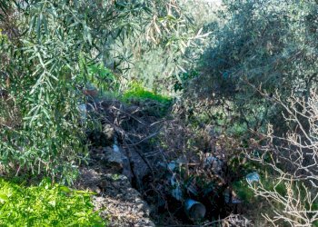 Giardino - Building land Via Della Campana
 
snc, Misterbianco - photo 13