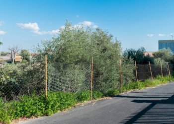 Edificio all\'aperto - Building land Via Della Campana
 
snc, Misterbianco - photo 17