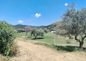 Foto 18 - Trilocale Borgo degli Erchi, Albisola Superiore - foto 18