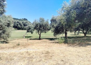 Foto 20 - Trilocale Borgo degli Erchi, Albisola Superiore - foto 20