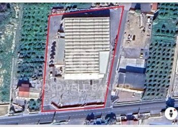 Foto 1 - Commercial Premises C.da Monaco Pollicino
sn, Scordia - photo 1