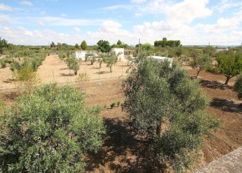 Vista - Warehouse SP223, Gallipoli - photo 21