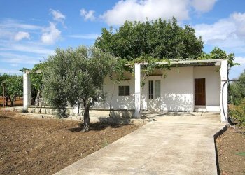 Giardino - Warehouse SP223, Gallipoli - photo 4