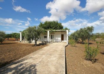 Terreno - Warehouse SP223, Gallipoli - photo 8