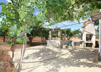 Giardino - Magazzino SP223, Gallipoli - foto 2