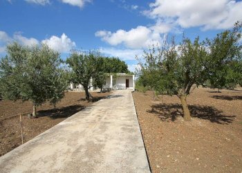 Terreno - Magazzino SP223, Gallipoli - foto 4