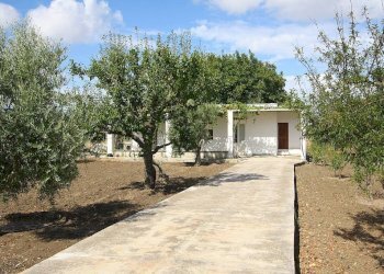 Terreno - Magazzino SP223, Gallipoli - foto 5
