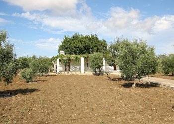 Terreno - Magazzino SP223, Gallipoli - foto 7