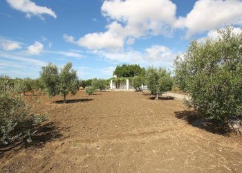 Terreno - Magazzino SP223, Gallipoli - foto 8
