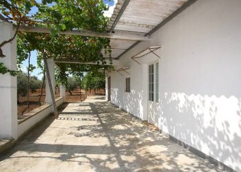 Giardino - Magazzino SP223, Gallipoli - foto 10
