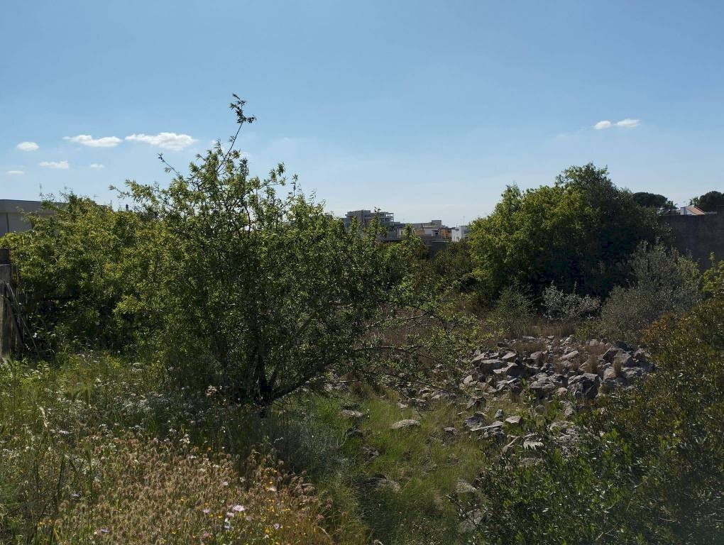 Terreno - Building land via Marco Polo, Casarano - photo 1