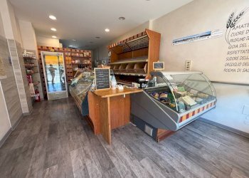 Interno non residenziale - Food - Gastronomy via Fratelli Rosselli, 130, Biella - photo 5