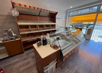 Interno non residenziale - Food - Gastronomy via Fratelli Rosselli, 130, Biella - photo 6