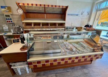 Interno non residenziale - Food - Gastronomy via Fratelli Rosselli, 130, Biella - photo 10
