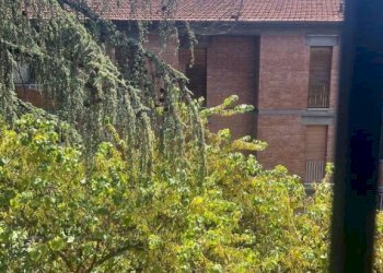 Vista - Trilocale via degli Ortolani, Bologna (zona Mazzini) - foto 12