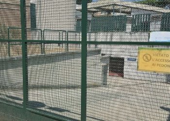 whatsapp image 2026-07-09 at 13.18.17 - Box viale Marco Fulvio Nobiliore, Roma - foto 3