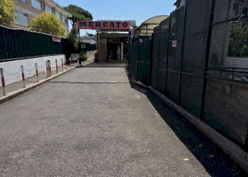 whatsapp image 2026-07-09 at 13.18.19 - Box viale Marco Fulvio Nobiliore, Roma - foto 5
