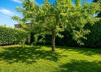 Villa via Domenico Scarlatti, Terni - foto 18