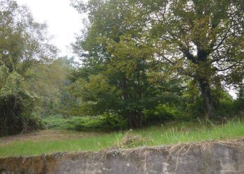 Terreno - Independent house Roburent - photo 42