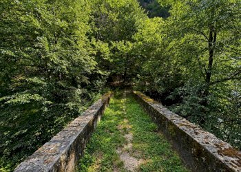 Rustico Valle Cannobina, VB, Valle Cannobina - foto 3