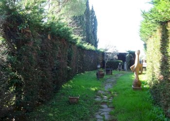 Foto 3 - Rustic Montespertoli - photo 3