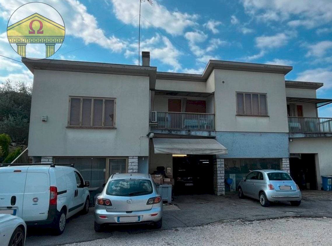 Foto 3 - Negozio Silea - foto 1