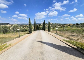 Foto 2 - Villa Zona Colle di Lupo, Magliano in Toscana - foto 2