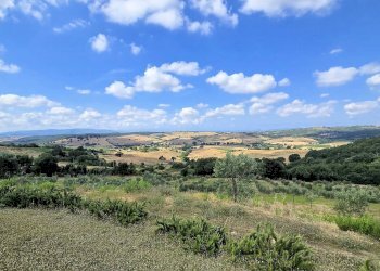 Foto 4 - Villa Zona Colle di Lupo, Magliano in Toscana - foto 4