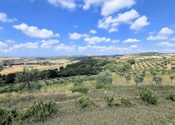 Foto 10 - Villa Zona Colle di Lupo, Magliano in Toscana - foto 10