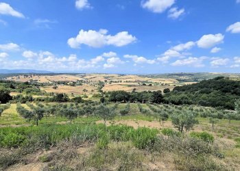Foto 12 - Villa Zona Colle di Lupo, Magliano in Toscana - foto 12