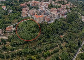 Foto 1 - Terreno edificabile VIA ALDO MORO
 
SNC, Civitella San Paolo - foto 1