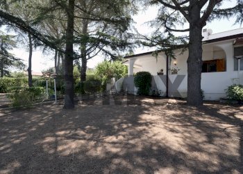 Casa all\'aperto - Villa Via Delle Rose, Borgo Lagogemolo
 
55, Cassano delle Murge - foto 9