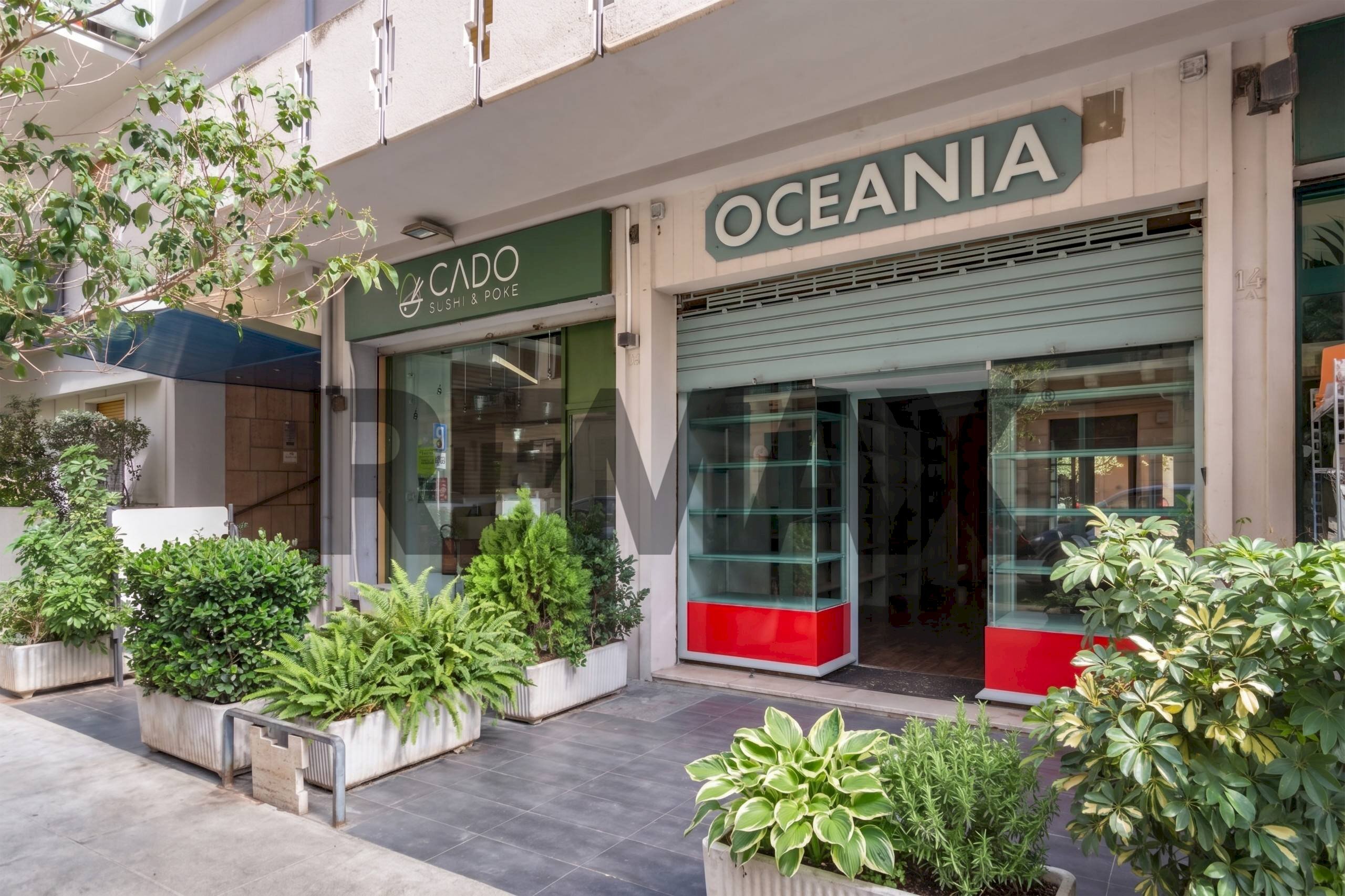 Casa all\'aperto - Negozio Via Ludovico Ariosto
 
14a, Palermo - foto 3