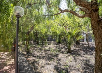 Giardino - Independent house Via Consoli
 
26A, Nicolosi - photo 22