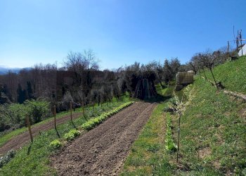 Giardino - Independent house STRADA MONTAPPONESE
 
4, Falerone - photo 31
