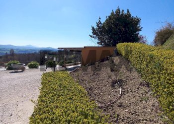 Giardino - Independent house STRADA MONTAPPONESE
 
4, Falerone - photo 32